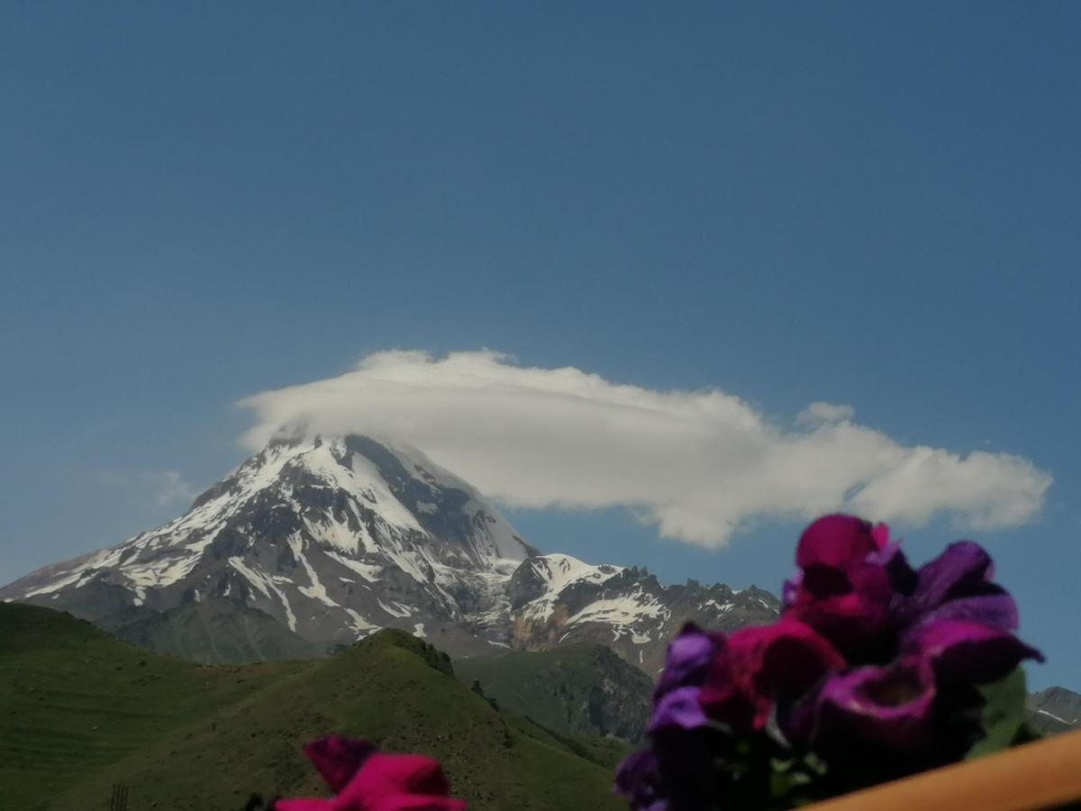 Panorama Cottages Kazbegi Eksteriør bilde