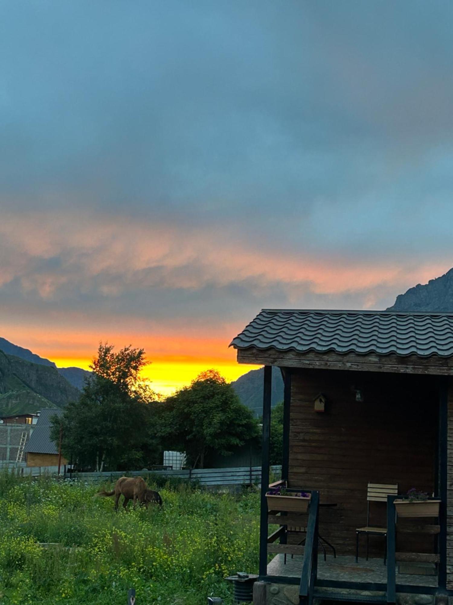 Panorama Cottages Kazbegi Eksteriør bilde