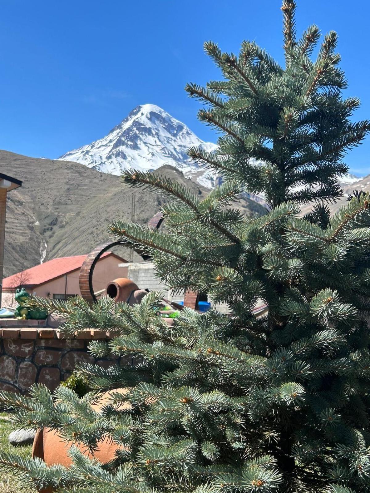 Panorama Cottages Kazbegi Eksteriør bilde